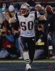 Mike Vrabel New England Patriots Signed Autographed Eagle Flap Taunt 11x14