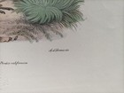 Foto 3 di 6