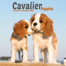 Carousel Calendars,  Cavalier King Charles Puppies 2026 Mini Wall Calendar, 7''