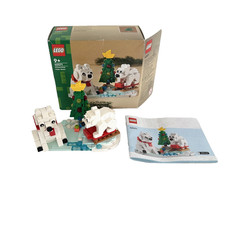 LEGO Iconic: Eisbären im Winter (40571) Vollständig