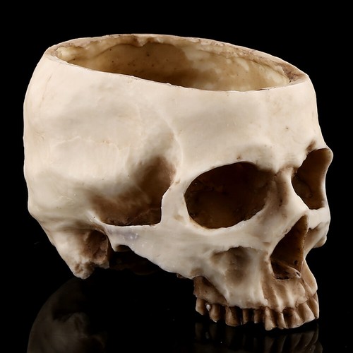 1pc Resin Skull Head Design Flower Pot Planter Container Decoration DIY Gift - Picture 5 of 11