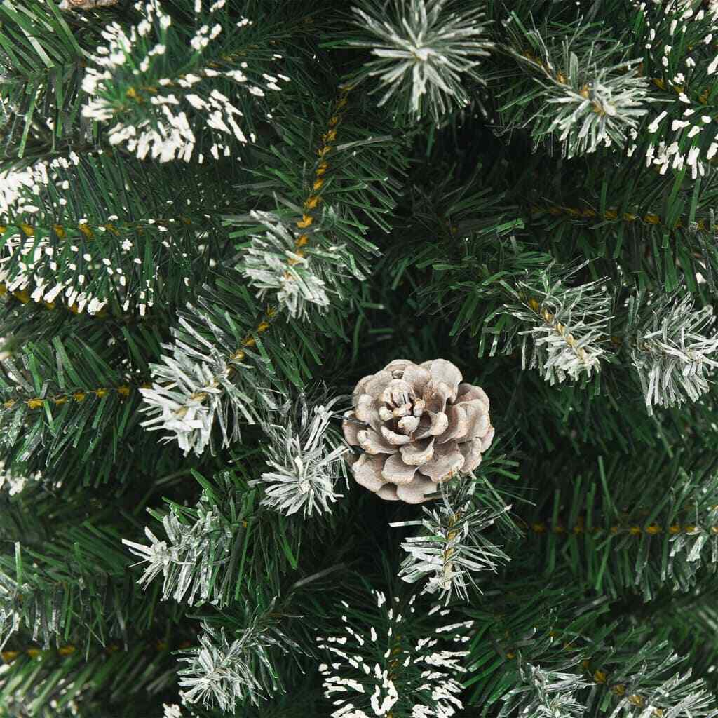 Picture 5 of 7