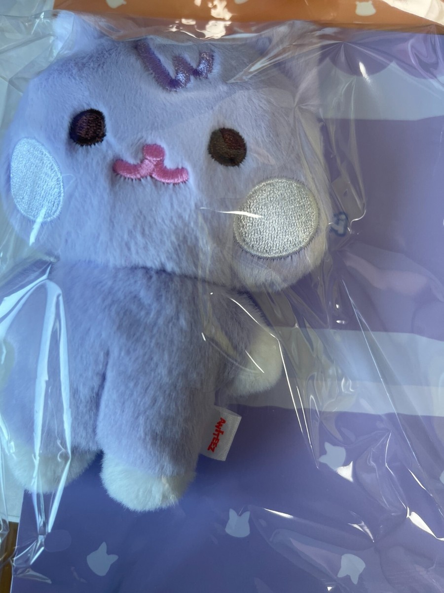 ATEEZ X ANITEEZ IN TREASURE MD FLAT-FUR PLUSH | eBay
