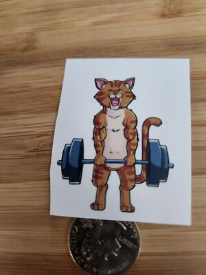  ️Fitness Sticker Weight lifting Sticker Gym Exercise CrossFit Body Building ️
