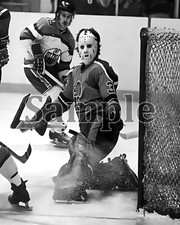WHA 1973 - 74 Goalie Joe Junkin Jersey Knights Game Action 8 X 10 Photo Picture