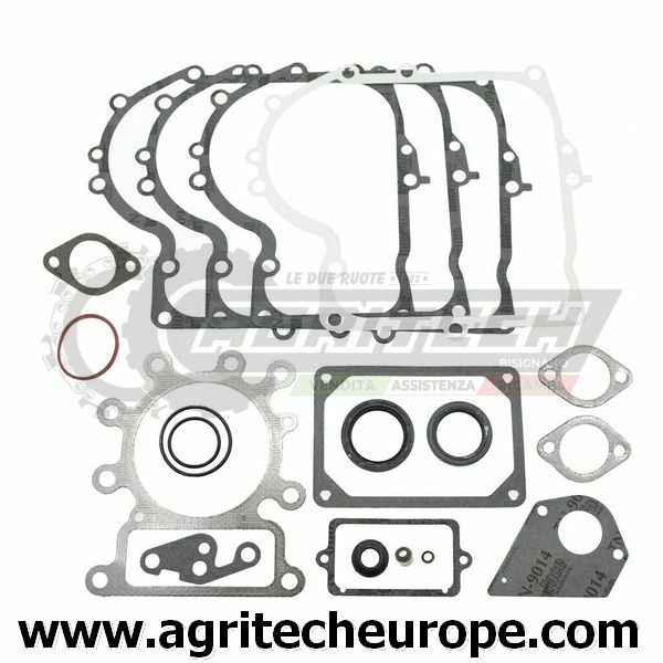 Set Guarnizioni 495993 B&S Serie 28 - OHV Mono Verticale I/C
