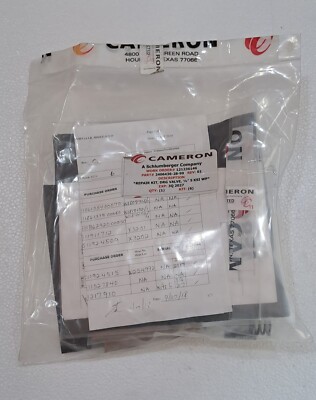 CAMERON 2406436-28-99 REPAIR KIT,  DRG VALVE, 1/4''  5 KSI WP