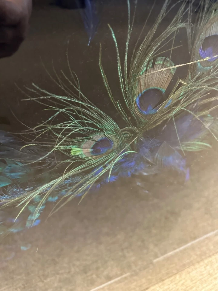 Enorme colgante de pared 3D de dos piezas plumas de pavo real reales sobre tela obras de arte Foto 2 de 4