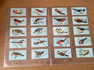 TETLEY TEA BRITISH BIRDS ORIGINAL CARDS FULL SET OF 48 VERY CLEAN condition.
