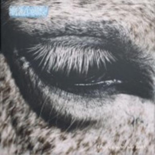 Smag Pa Dig Selv - This Is Why We Lost - Vinyl Record Record - F99Z-image
