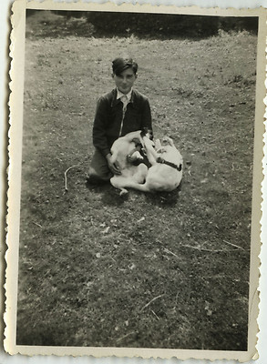 PHOTO ANCIENNE - VINTAGE SNAPSHOT - ANIMAL CHIEN JEU DRÔLE - DOG FUNNY