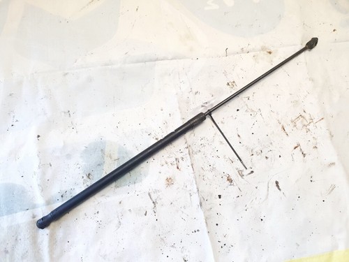 Volkswagen Passat 2006 Hood Support (strut front hood) 3c0823359a, #1601570-95