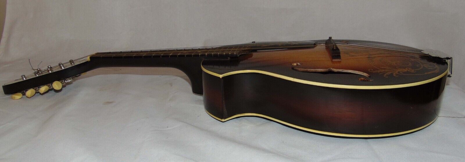 Picture 8 of 19