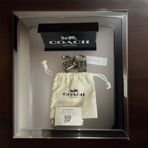 Coach Silver Dice Bag Charm CZ128 3D Cluster Metal Keychain NWT ORGPKG