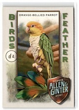 2021 Topps Allen & Ginter Orange-Bellied Parrot #BOF-9 Birds of a Feather