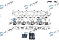Dr.Motor Automotive Zylinderkopf U.A. FüR Nissan, Opel, Renault, Vauxhall