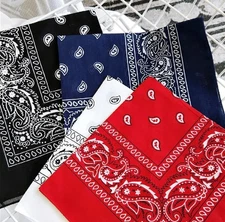 Techmanistan Ethnic Unisex Bandana Paisley Scarf Head Wrap Scarve Neck Scarf