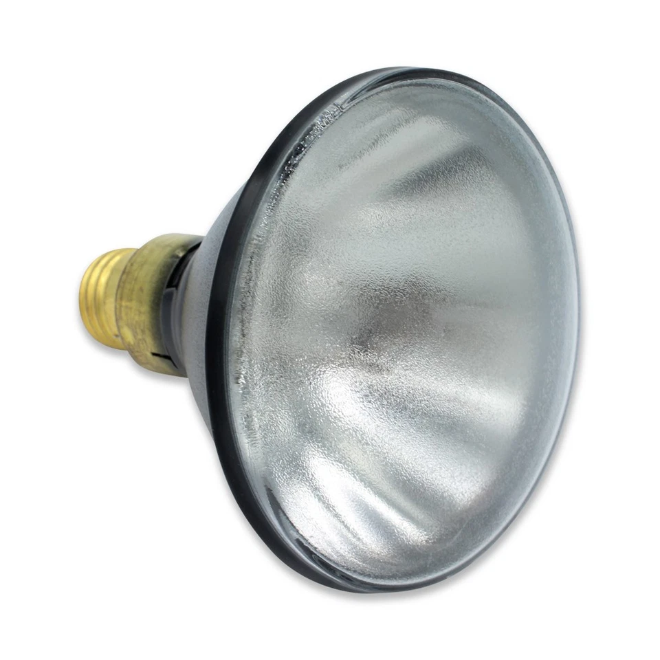 Replacement Bulb for OSRAM SYLVANIA 46135688430 100W - Image 2 of 4