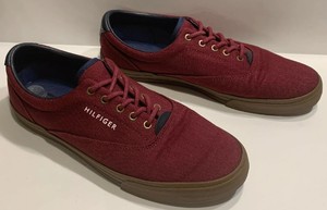 tommy hilfiger sport hoodie