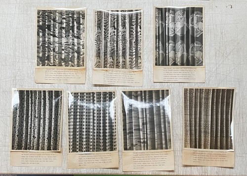 Rare SCHIFFER PRINTS Stimulus SALVADOR DALI & GEORGE NELSON Fabric Press PHOTOS - Picture 2 of 13