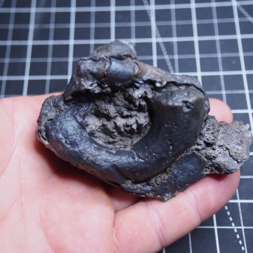 294gr Rugosa, Tabulata Czech Fossil Coral Devonian 1539 - Picture 9 of 22