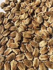50Pcs Bitter Melon Seeds Gourd Ampalaya Seeds Fresh Harvest US Seller