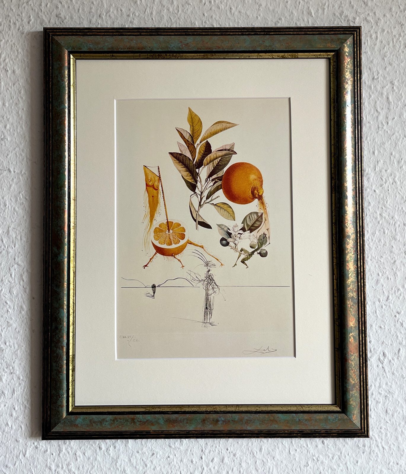 Bild 11 von 13
