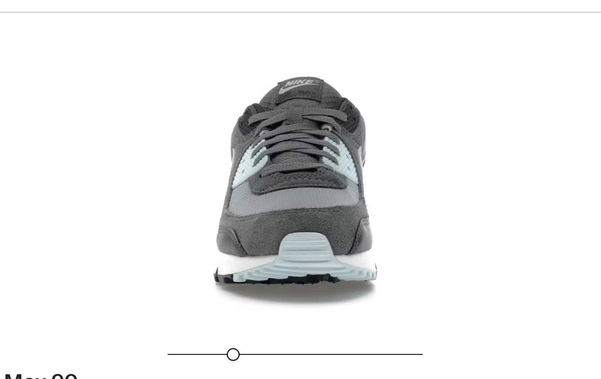 Nike Air Max 90 Light Pumice Photon Dust Glacier Blue  display picture 3