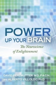 Power Up Your Brain von Perlmutter, David | Buch | Zustand sehr gut