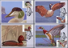 Romania 2022 Wild Ducks and Geese (Maxi Cards Set. Mint)