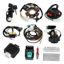 Complete Wiring Harness Kit Compatible with Tao tao Coolster 125cc 110cc
