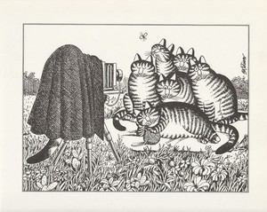 Kliban Cat Art Print Photo Session Vintage Lithograph Cartoon Kitty Kitten