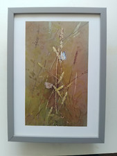 Gordon Beningfield Butterfly print 'Chalkhill Blue'  FRAMED