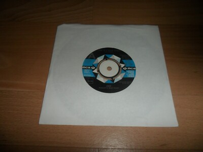 CHER - LIVING IN A HOUSE DIVIDED (RARE MCA PROMO/ DEMO  7'' VINYL SINGLE - 1972)