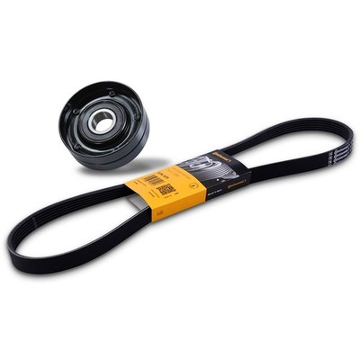 CONTI KEILRIPPENRIEMEN + UMLENKROLLE FÜR AUDI SEAT SKODA VW GOLF 6 1.6 2.0 TDI