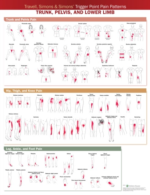 Travell Simons Simons Trigger Point Pain