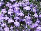 Bild 3 von 5