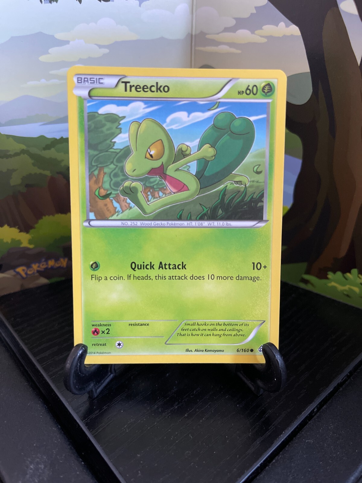 Treecko 6/160 - Primal Clash - Common - Pokemon Card TCG - LP
