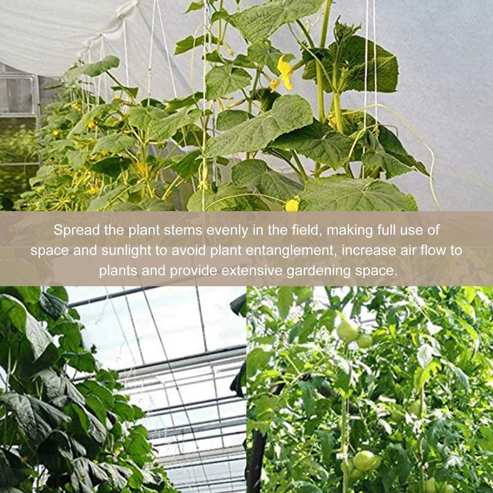 10Er Pack Tomaten StüTze Haken und Tomaten Klammern für SchnüRe, Garten