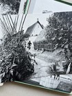 Zdjęcie 13 z 16