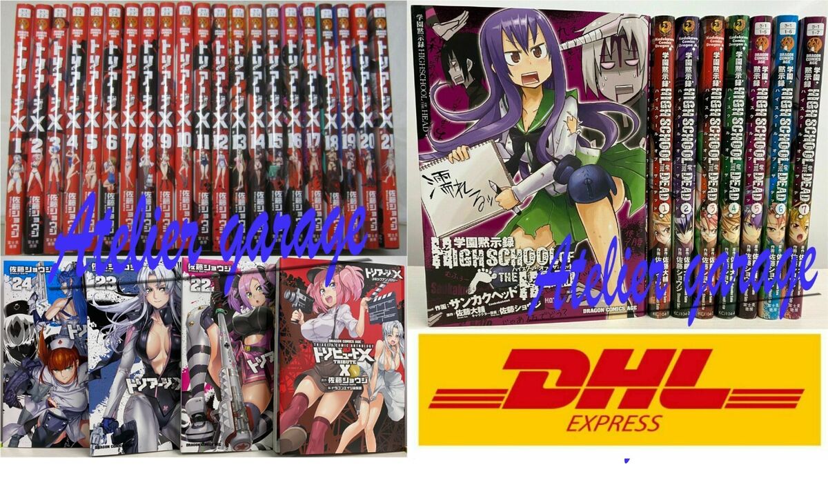 Highschool of the Dead, Vol. 1 (Highschool of the Dead, 1)