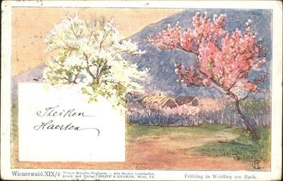 Wienerwald Frühling Weidling Bach