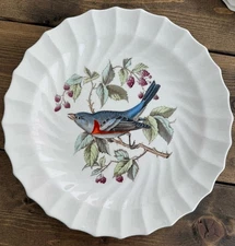 Copeland Spode LAZULI BUNTING England 9" Bird Collector Plate Vintage 1960-1970