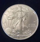 2021 Type 1 American Silver Eagle Uncirculated Bullion $1 Coin