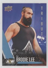 2021 Upper Deck AEW All Elite Wrestling Mr Brodie Lee #60 d9r