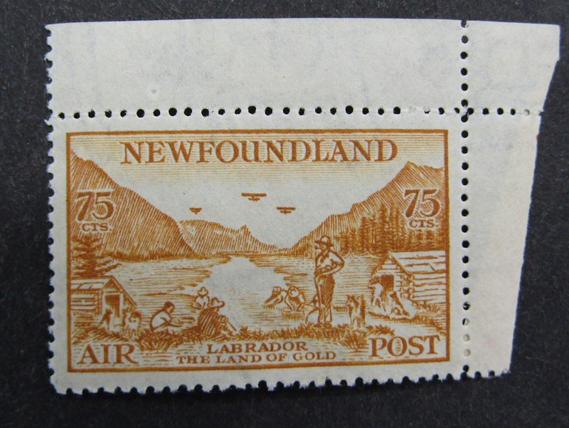 nystamps Canada NewFoundland Stamp # C17 Mint OG NH $88      U19x660