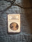 2002 W Proof $1 American Silver Eagle Dollar NGC PF69 Ultra Cameo