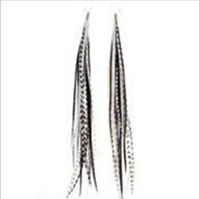 Zebra Black & White Feather Earrings Made with 5 Genuine Grizzly Rooster Fea