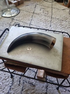 Water Buffalo horn