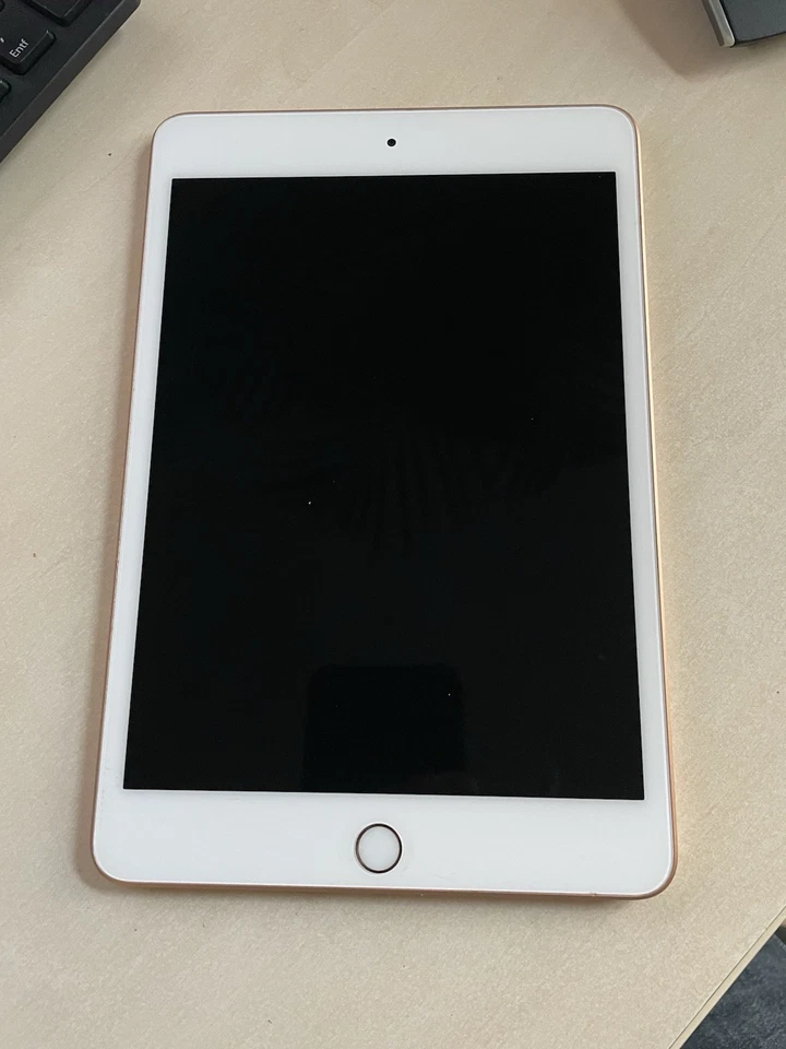 Apple iPad Mini (5. Generation), 256 GB, WLAN, 20,06 cm (7,9 Zoll) - Gold - Bild 3 von 4